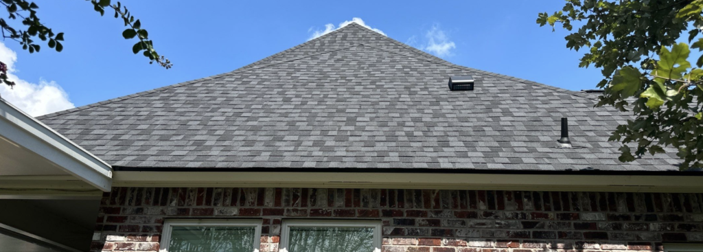 What Happens If You Skip Professional Roof Washing Baton Rouge?
